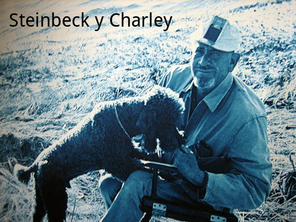 Steinbeck con Charley