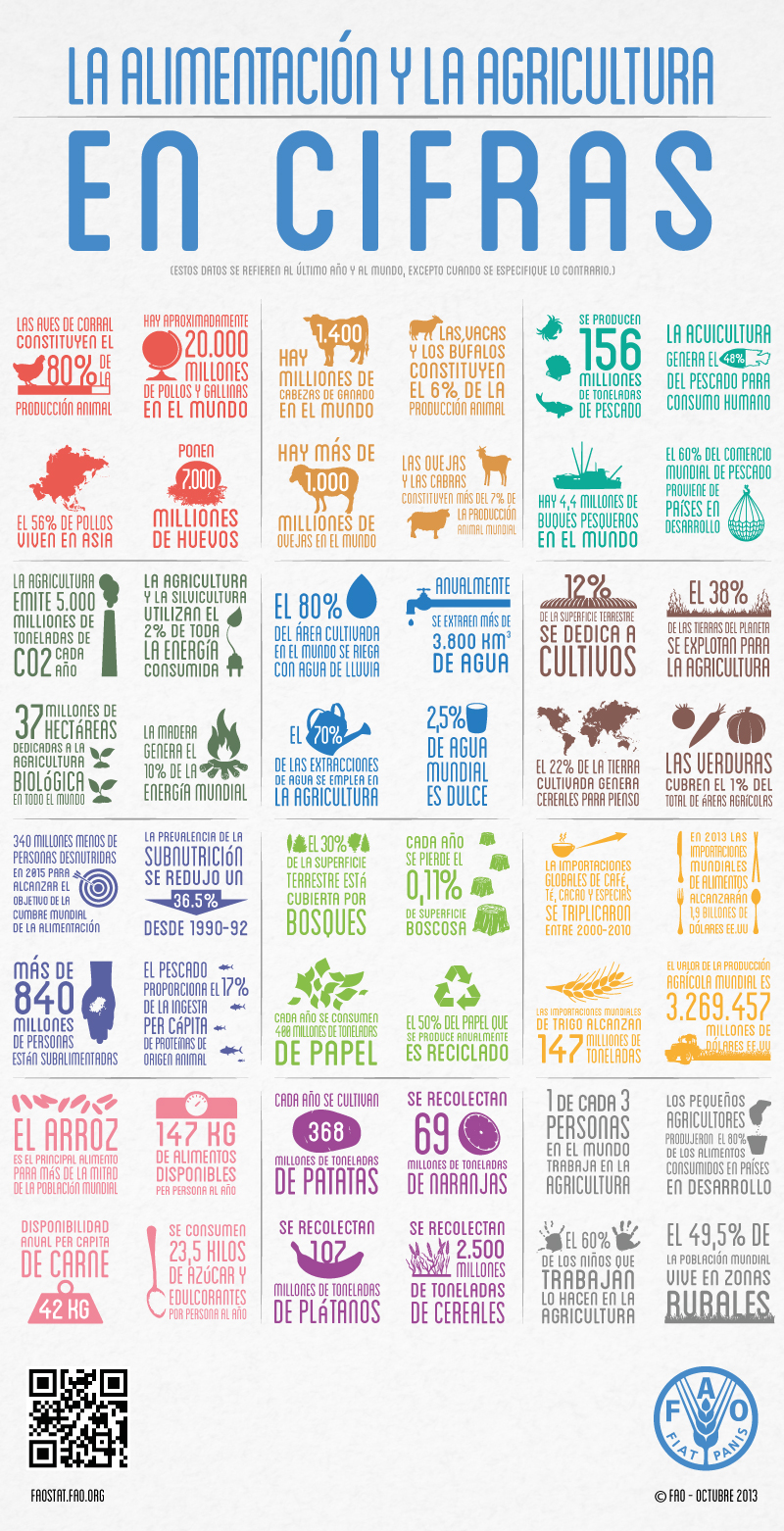 FAO-Infographic-food-ag-es