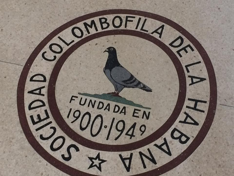 palomas cuba 21430294_1410414825740831_8443916161121406696_n