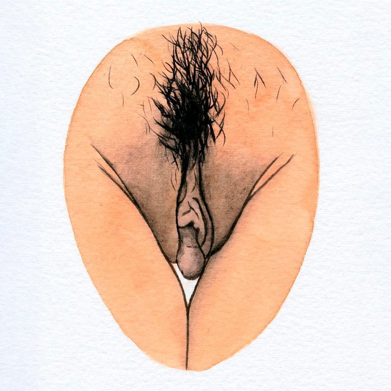 Vulvas