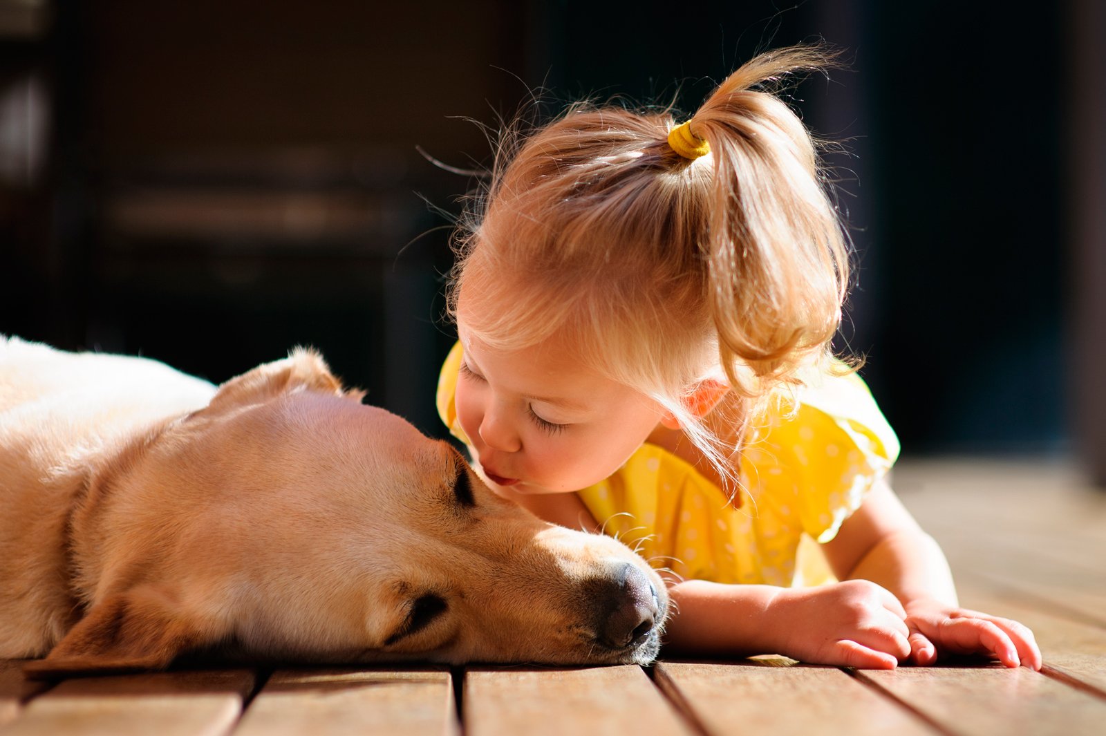 aprendizaje de palabras en niños y perros