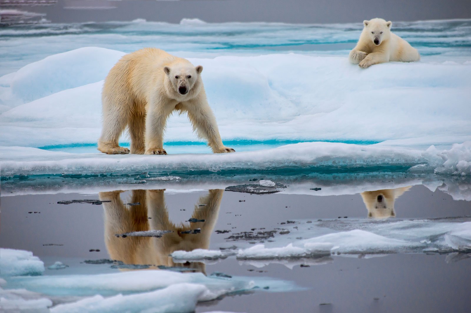 Cambio climático