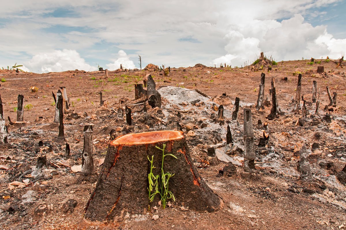 Cambio climático