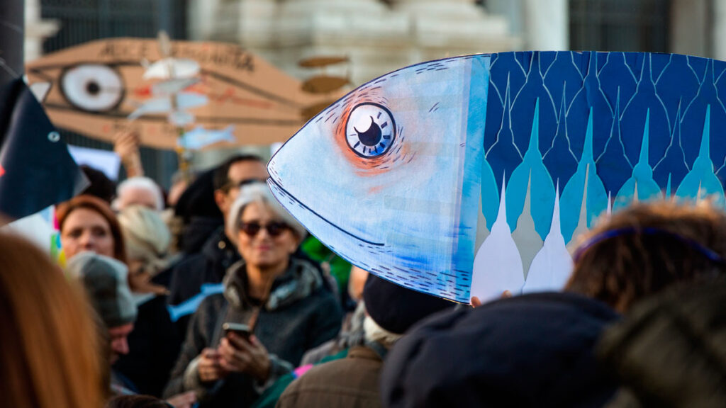 Movimiento de las sardinas
