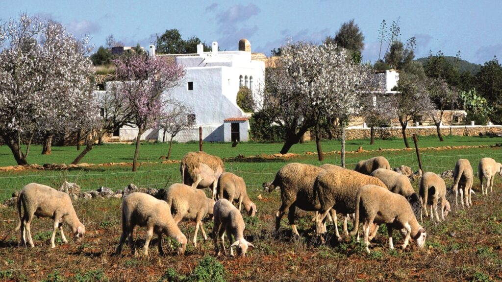 Ibiza y su arquitectura sostenible