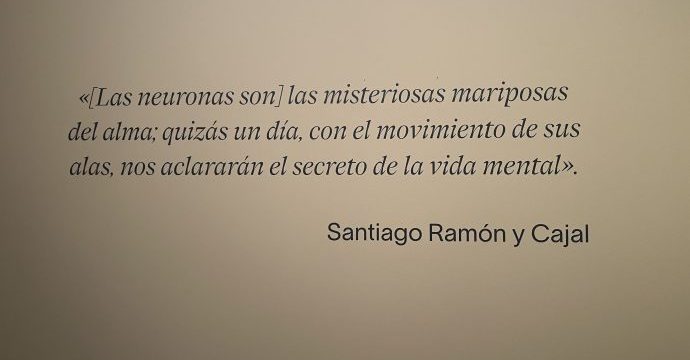 Cerebros frase Ramón y Cajal