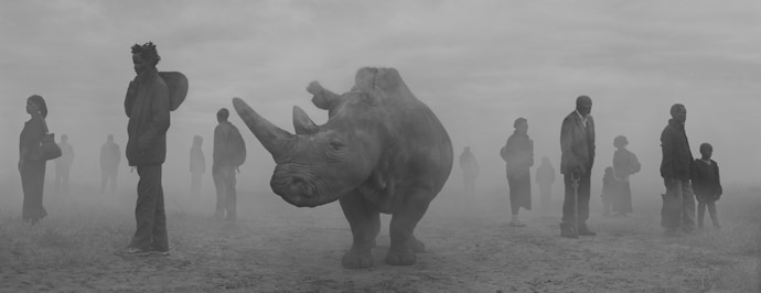 Nick Brandt