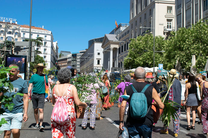 manifestación de plantas