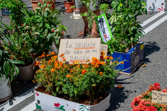 manifestación de plantas