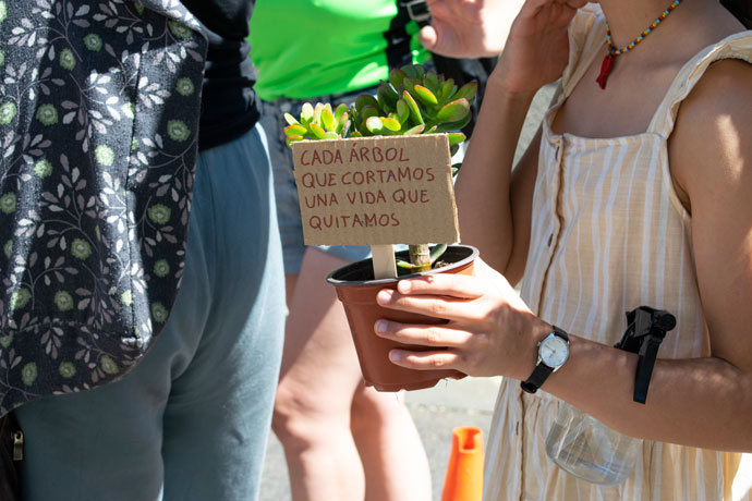 manifestación de plantas