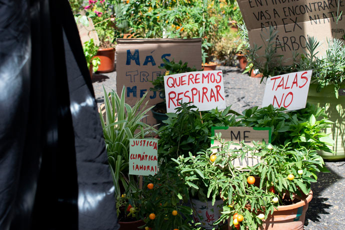 manifestación de plantas