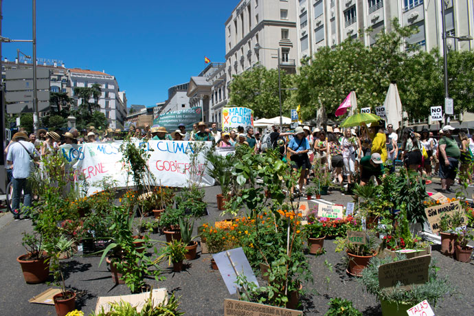 manifestación de plantas