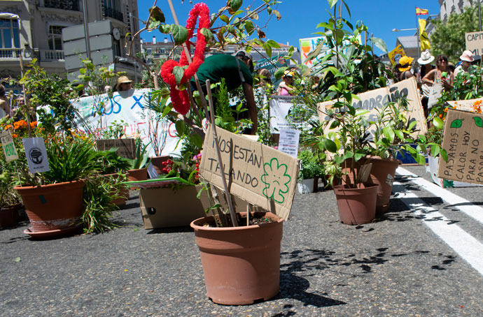 manifestación de plantas