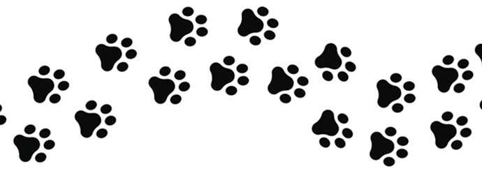 signo simbolo pictograma diferencias