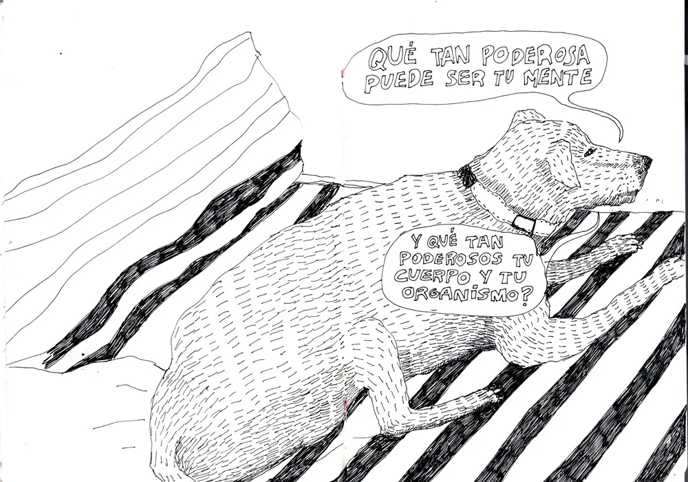 Lucía Coz tips creatividad