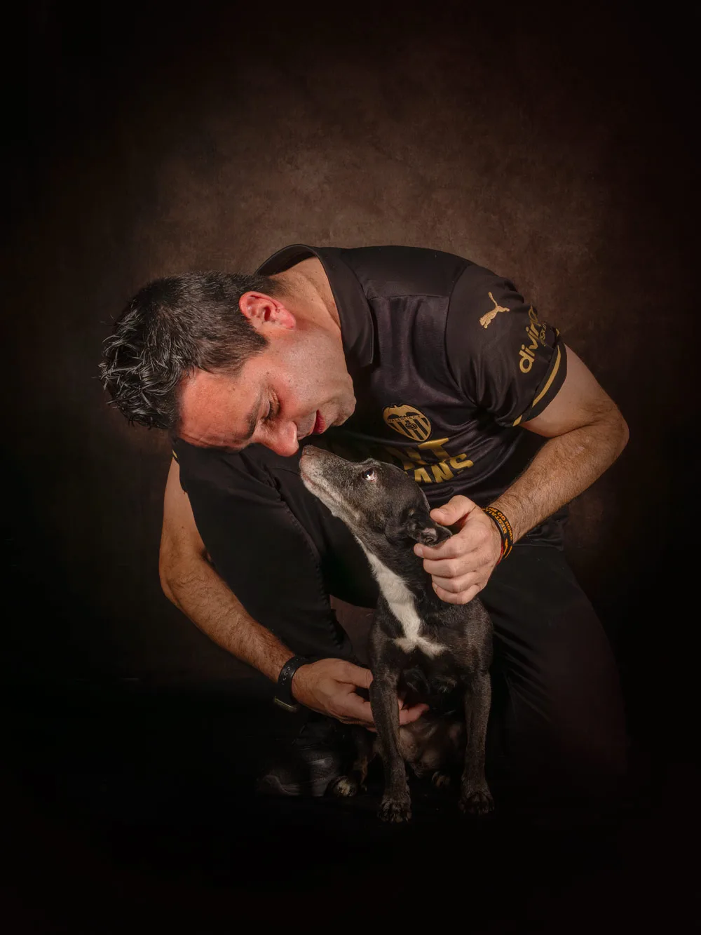 perros gatos y retratos