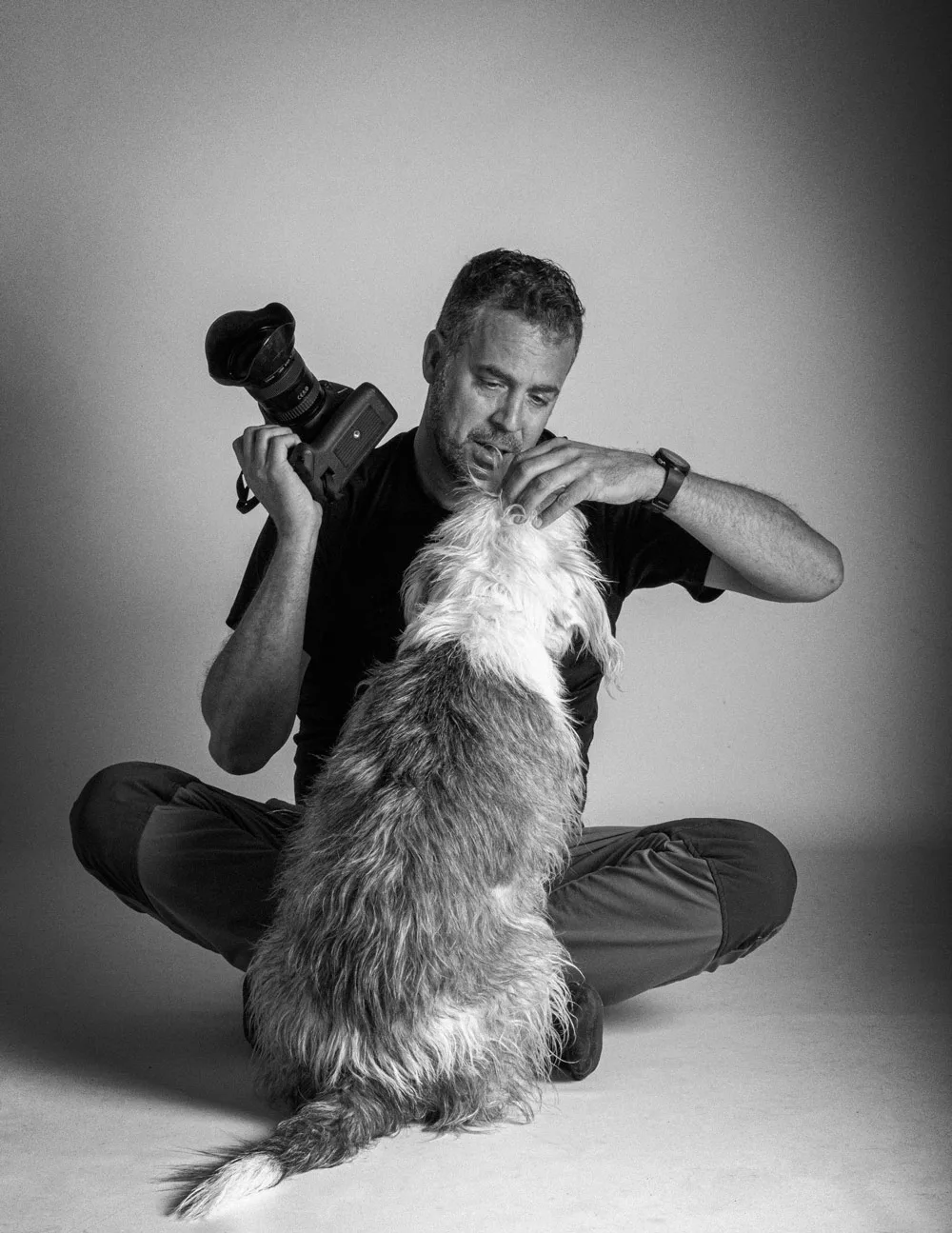 perros gatos y retratos