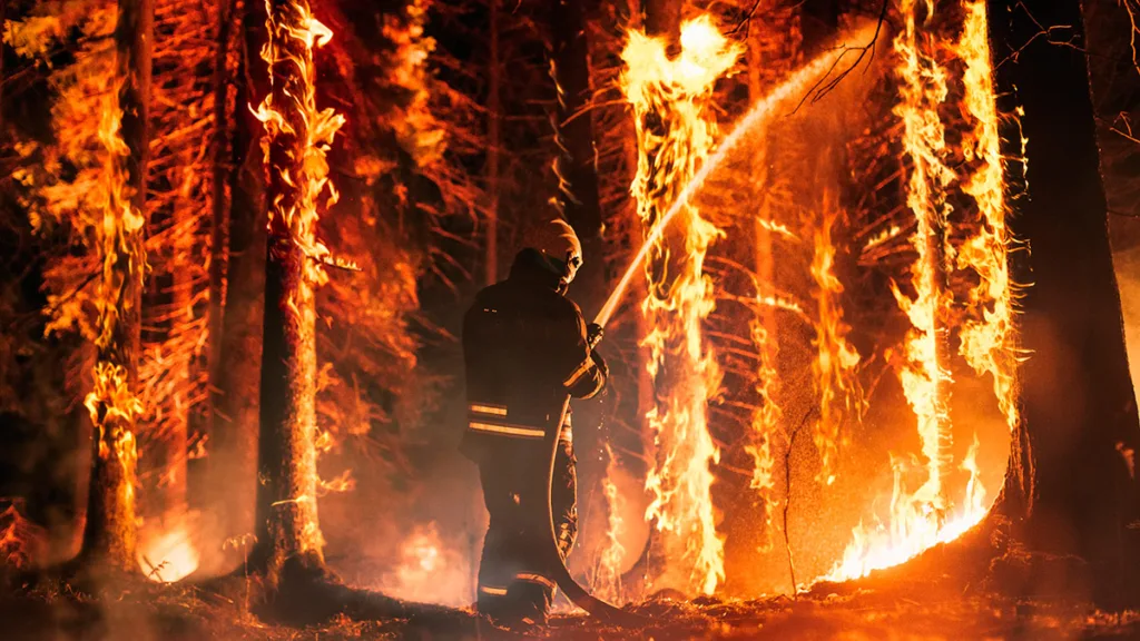 incendios forestales