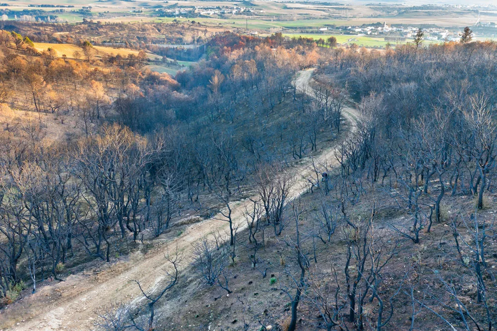 incendios forestales