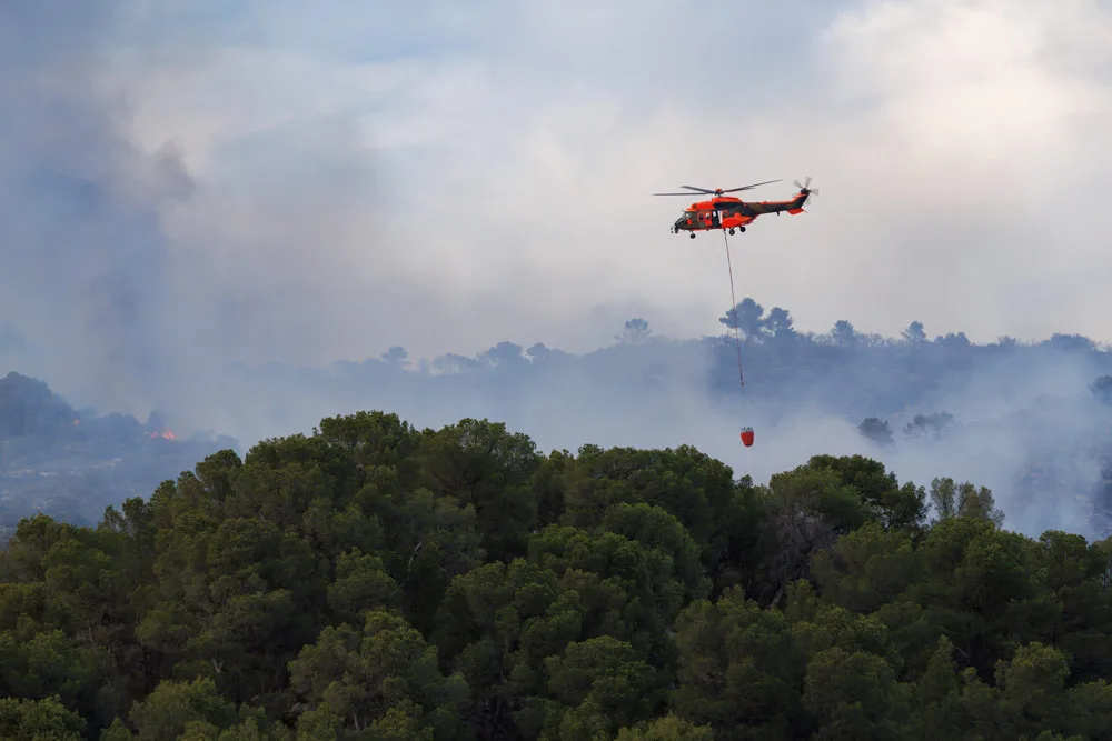 incendios forestales