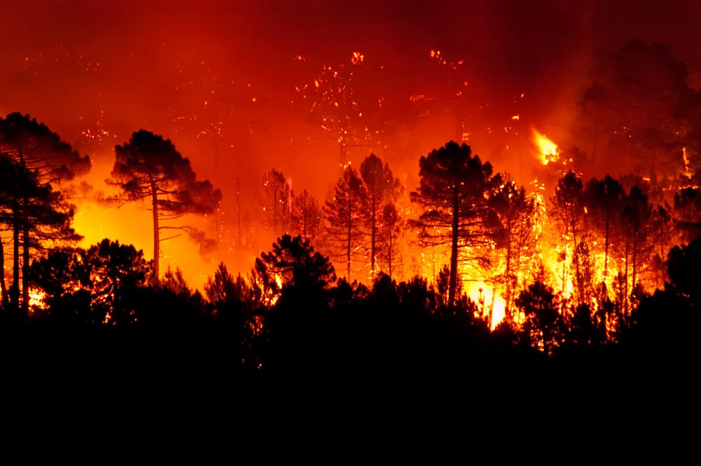 incendios forestales