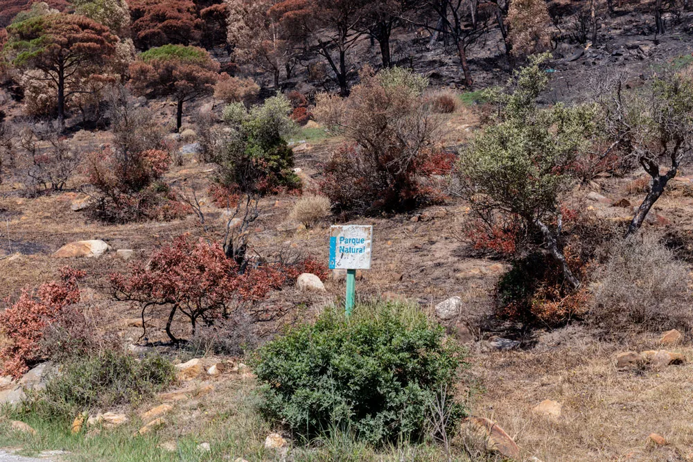 incendios forestales