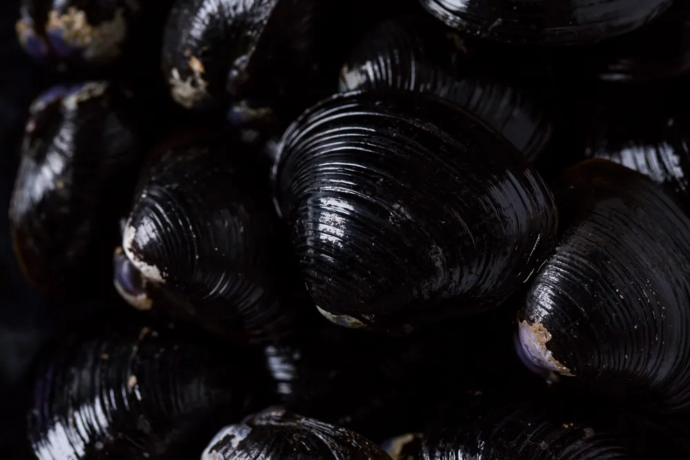 etimologia del color