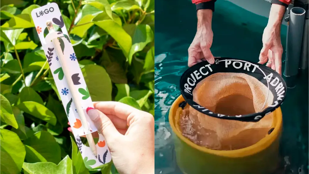 humansdid lapices-plantables vs seabin project