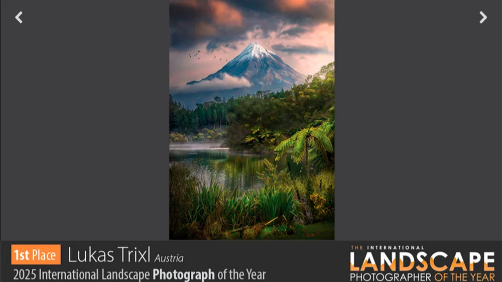 regalito centenarios