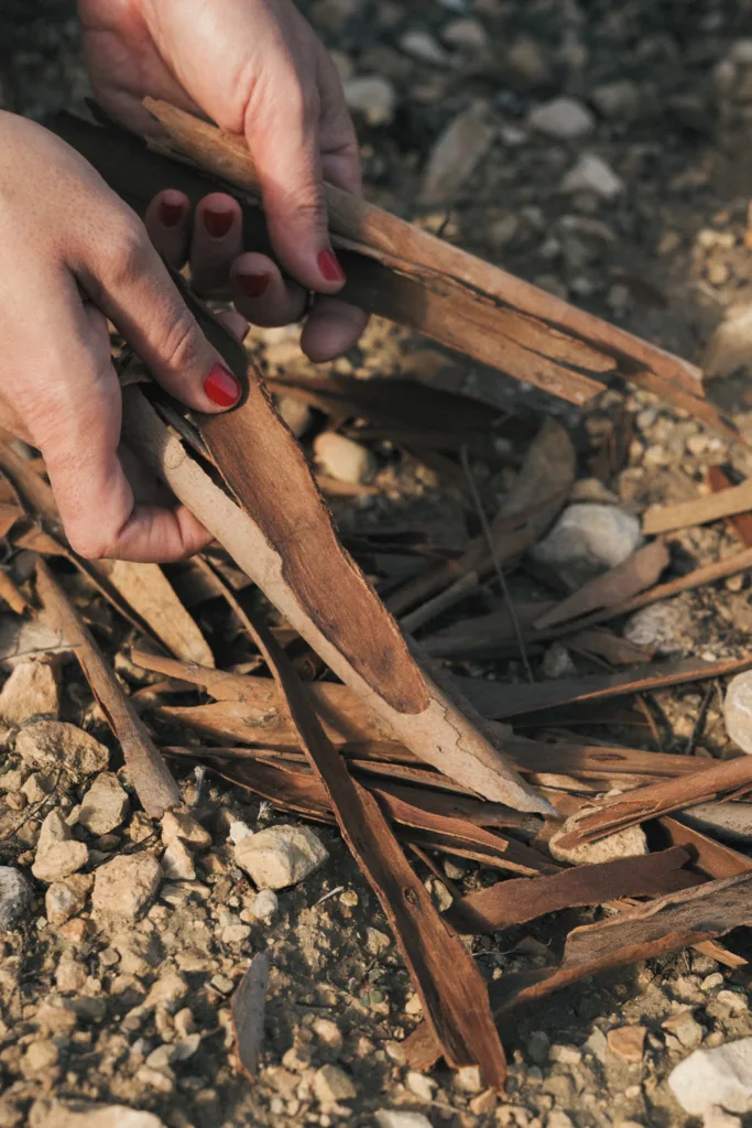 biopintura Cynthia Nudel