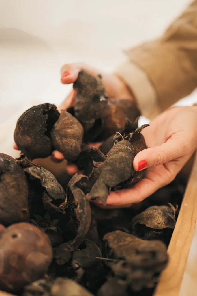 biopintura Cynthia Nudel