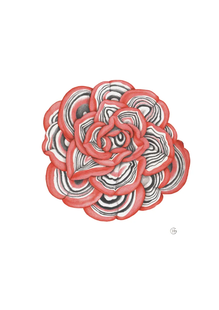 Carmen García Huerta