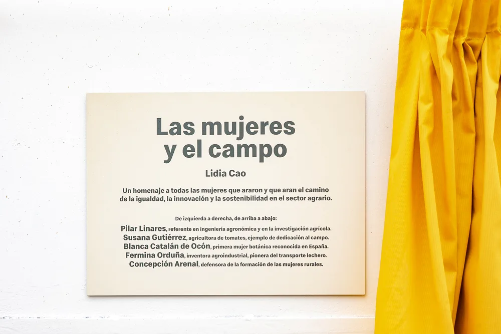 McDonalds Mujer en el campo