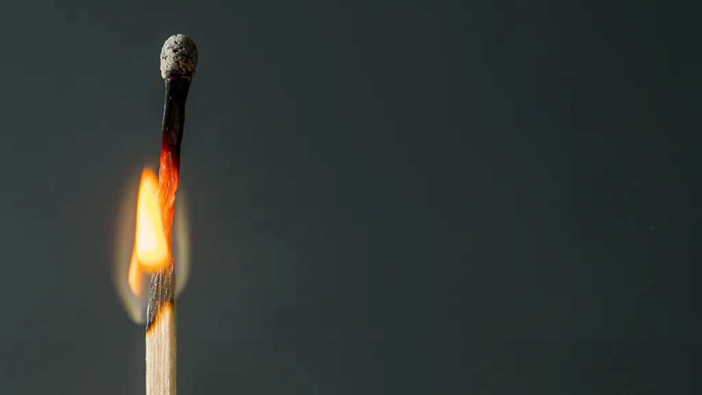 supervivencia y éxito