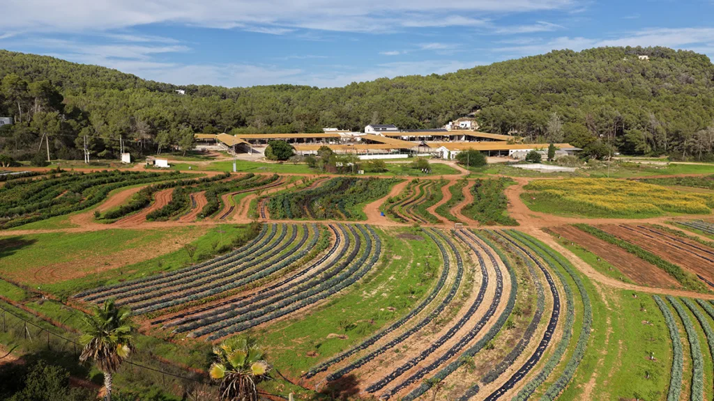 Juntos Farm