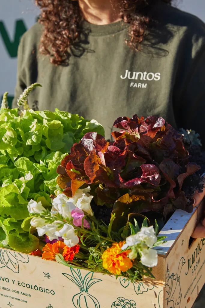 Juntos Farm