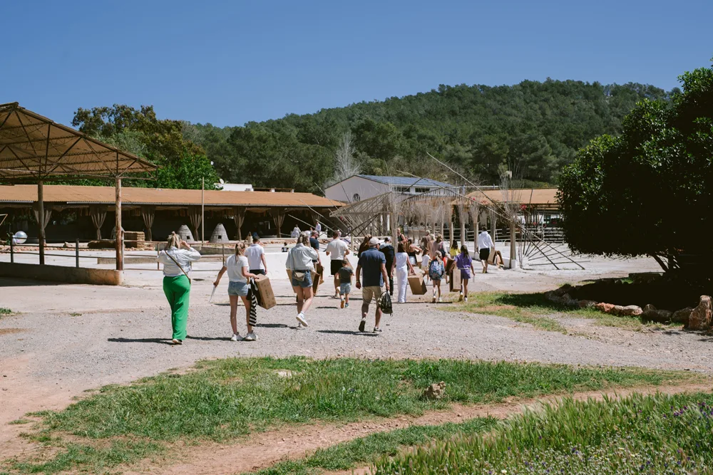 Juntos Farm