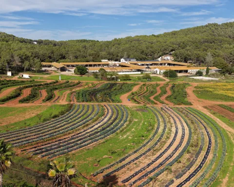 Juntos Farm