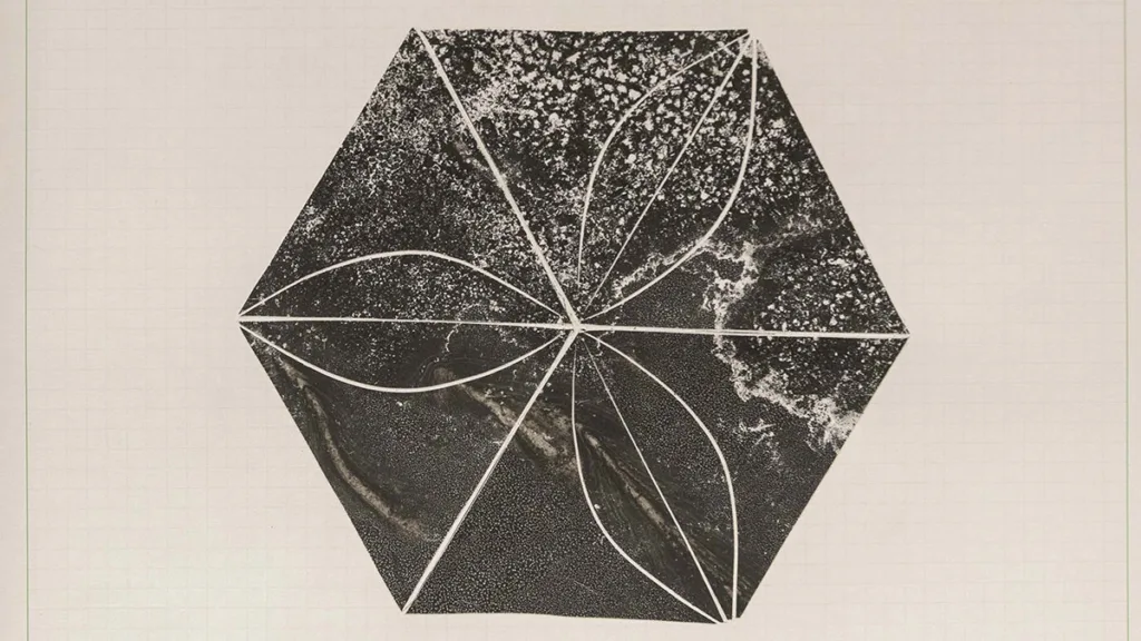 intemperie coautora